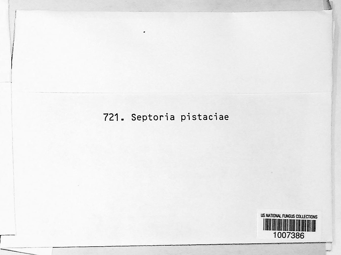 Septoria pistaciae thumbnail